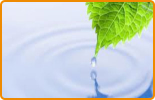 Centro de Terapia de Conducta Yolanda Alemán fobias