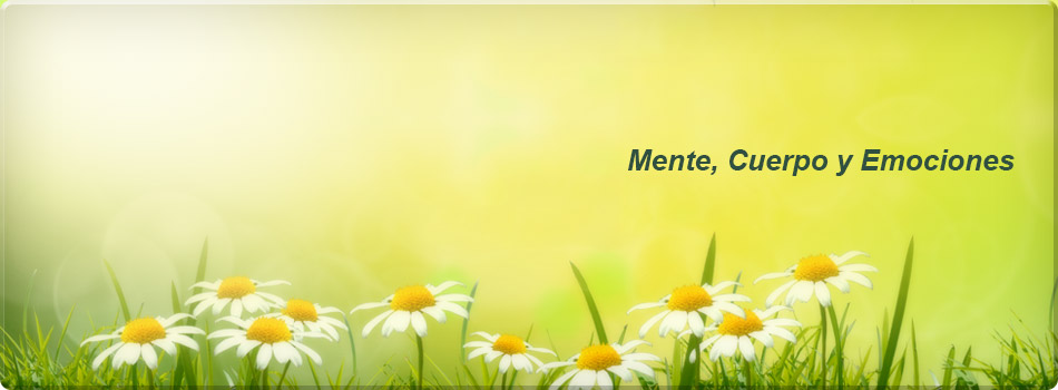 Centro de Terapia de Conducta Yolanda Alemán servicio de psicología