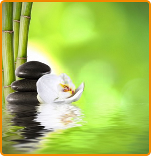 Centro de Terapia de Conducta Yolanda Alemán tratamiento psicológico